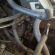 MERCEDES BENZ SPRINTER 308 CDI F/C P/V - 11337